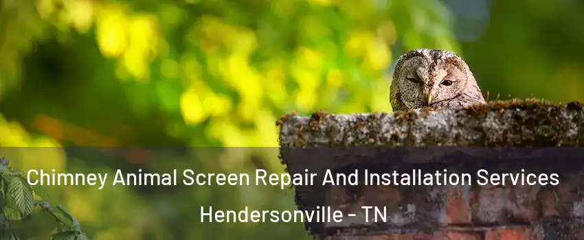  Chimney Animal Screen Repair And Installation Services Hendersonville - TN