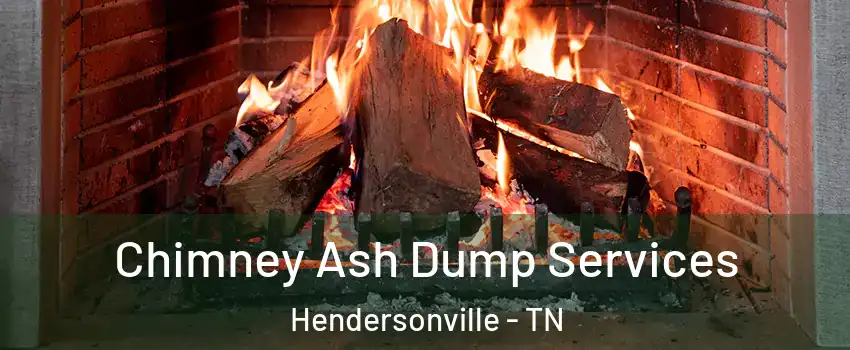  Chimney Ash Dump Services Hendersonville - TN