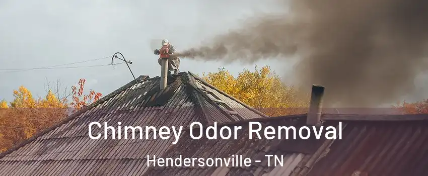  Chimney Odor Removal Hendersonville - TN