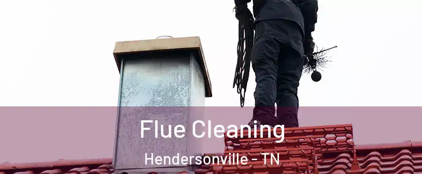  Flue Cleaning Hendersonville - TN
