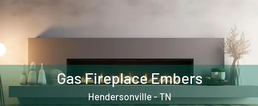  Gas Fireplace Embers Hendersonville - TN