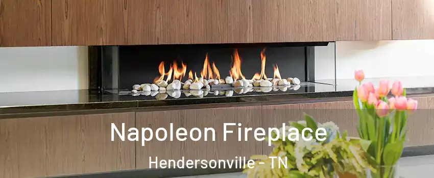  Napoleon Fireplace Hendersonville - TN